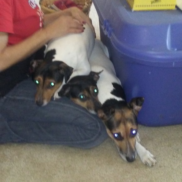 Meet your Posher, Deb - Picture 1 of 1